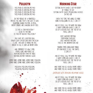 Libreto de lyrics Bloody Monkey 02